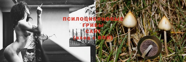 гидра Баксан