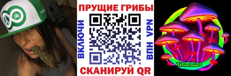 kraken ONION  Вилюйск  Псилоцибиновые грибы Psilocybe 